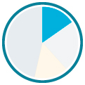 IT Platforms pie chart